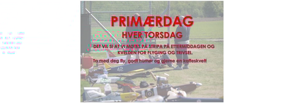 Primærdag m/ dugnad